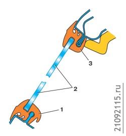 Замена ветрового
стекла, стекол боковин
и двери задка